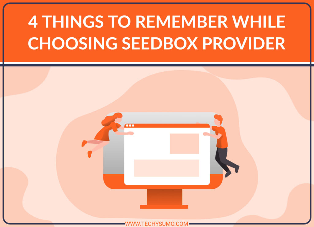 4 Things To Remember While Choosing Seedbox Provider
