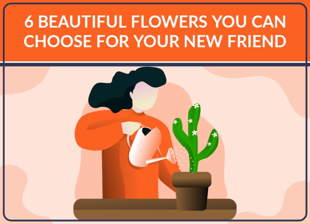 flowers for new friend