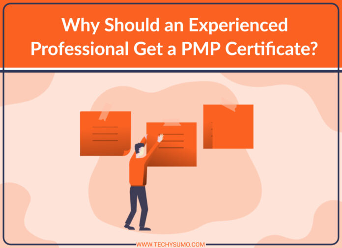 Why Should an Experienced Professional Get a PMP Certificate