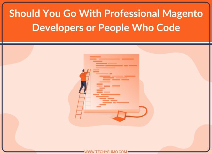 Should You Go With Professional Magento Developers or People Who Code
