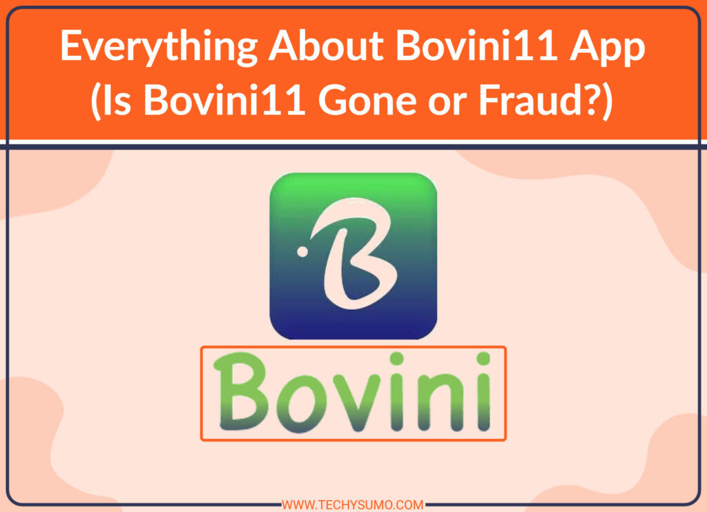 Bovini 11 App Fraud