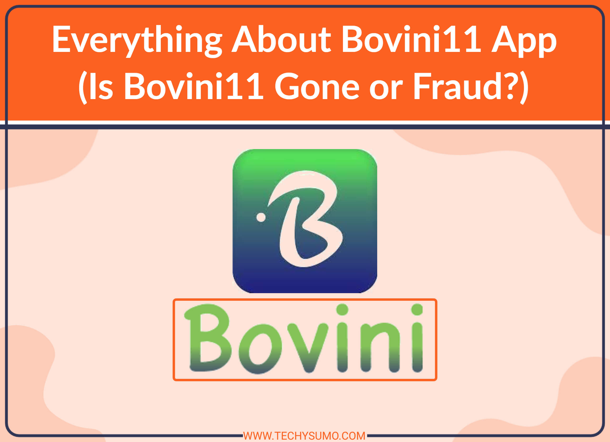 Bovini 11 App Fraud
