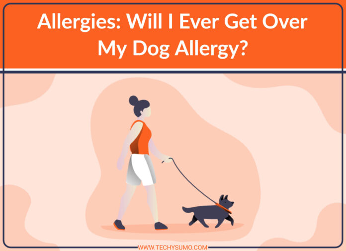 My Dog Allergy