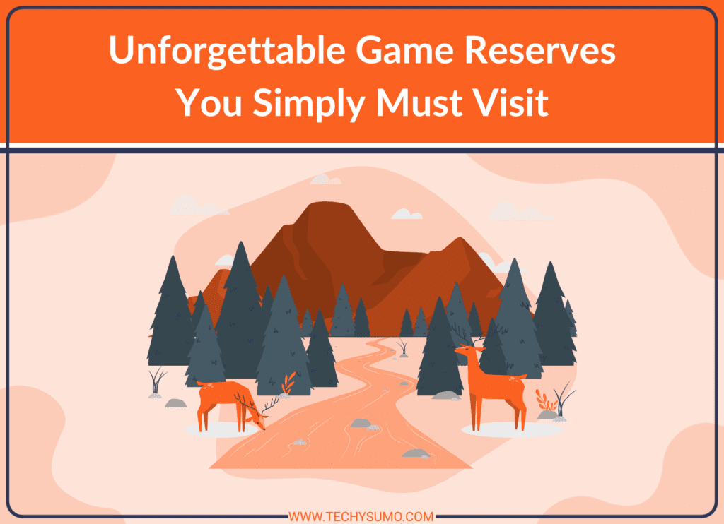 Game Reserves You Must Visit