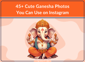 45+ Cute Ganesha Photos You Can Use on Instagram