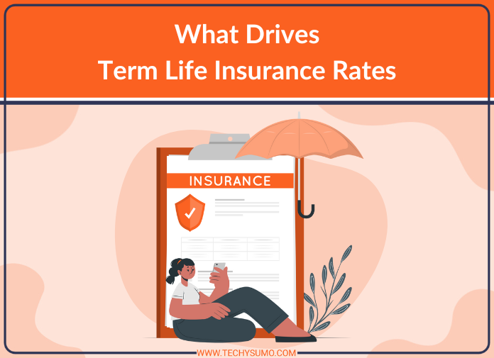 What Drives Term Life Insurance Rates