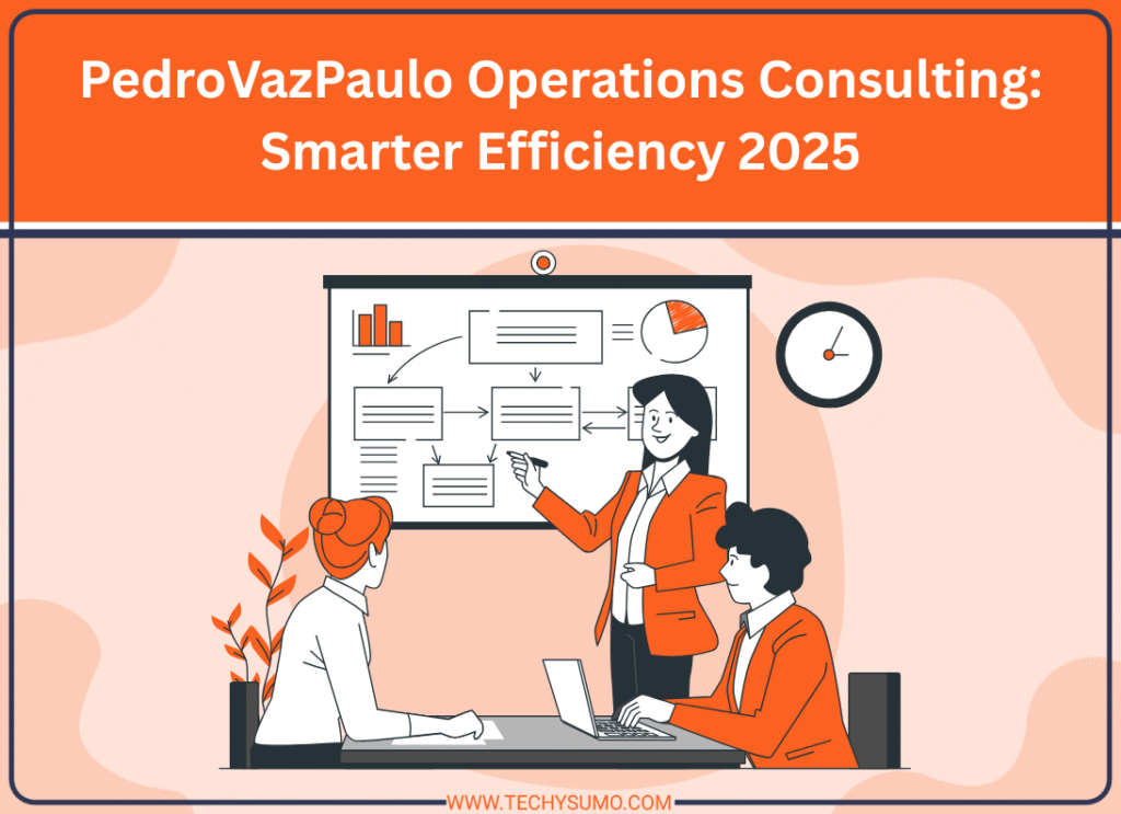 PedroVazPaulo Operations Consulting