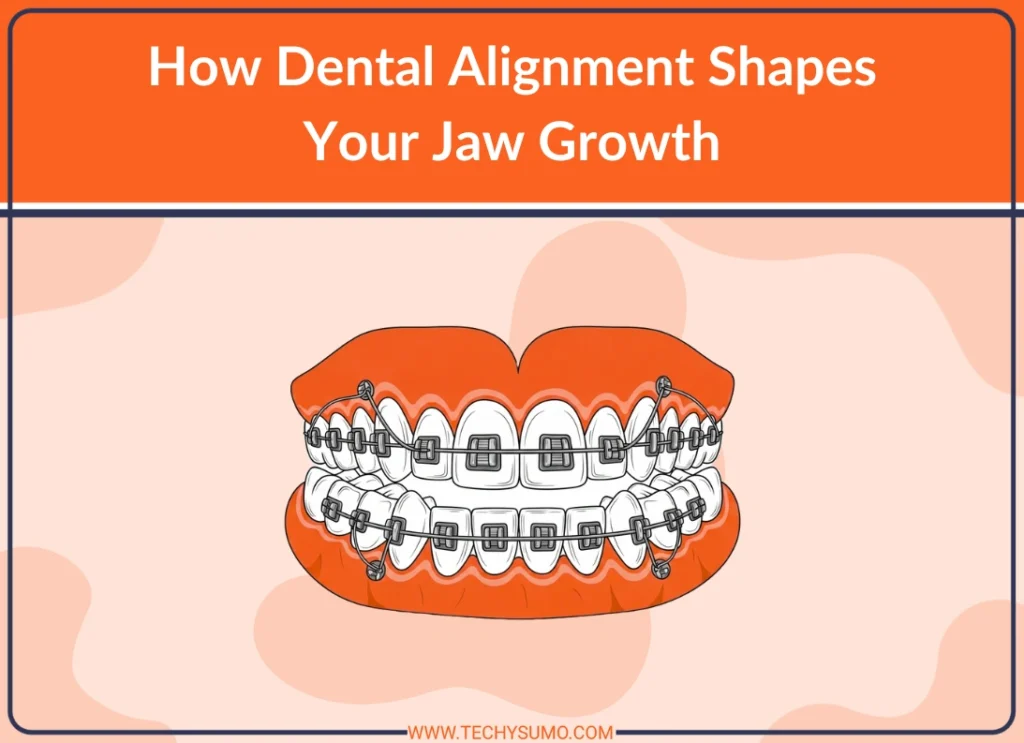 How Dental Alignment Shapes Your Jaw Growth