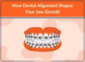 How Dental Alignment Shapes Your Jaw Growth
