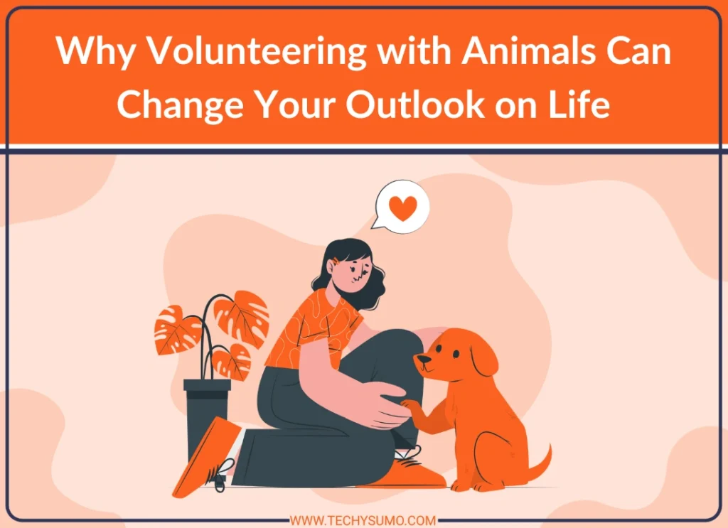 Why Volunteering with Animals