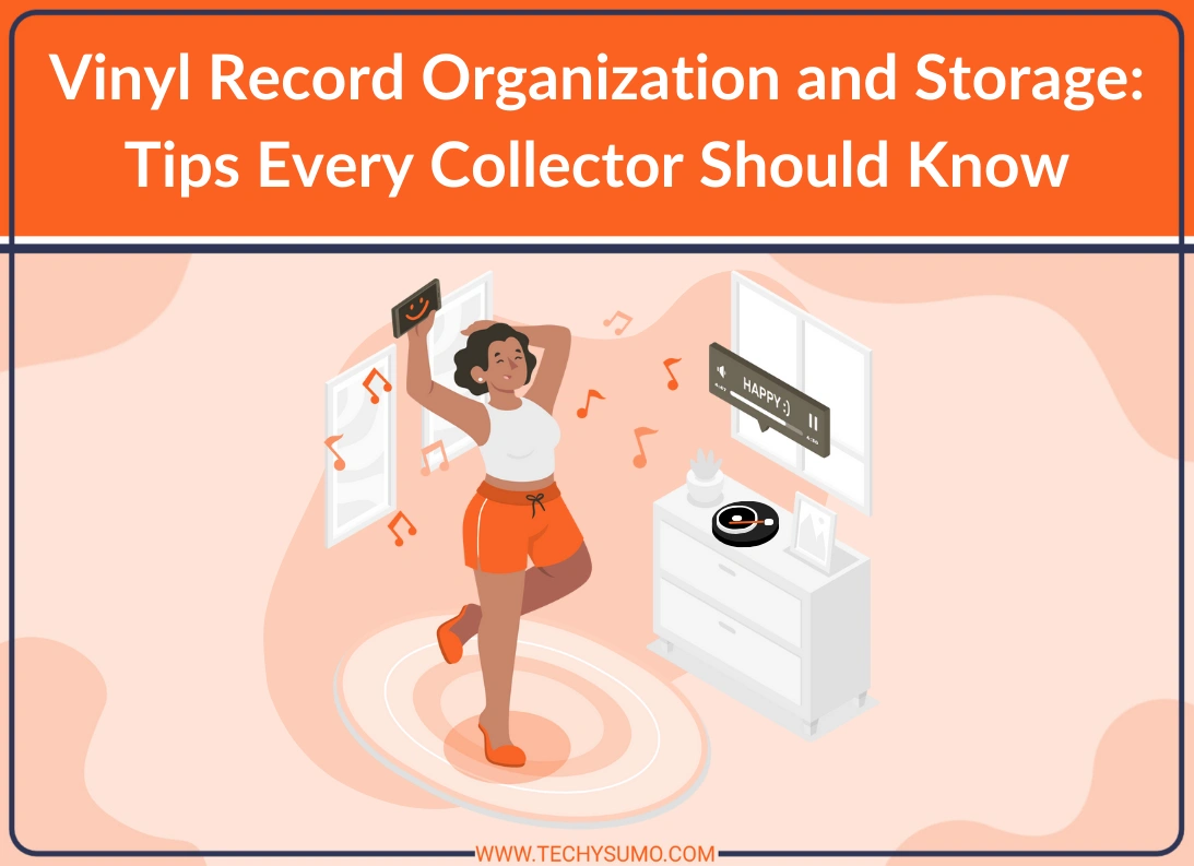 Vinyl Record Organization and Storage