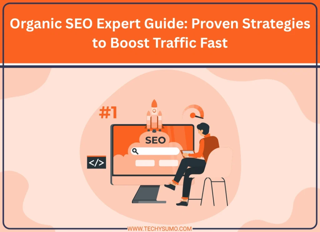 Organic SEO Expert Guide Proven Strategies to Boost Traffic Fast