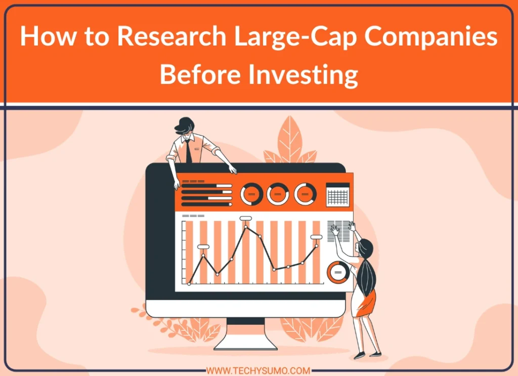 Research Large-Cap Companies