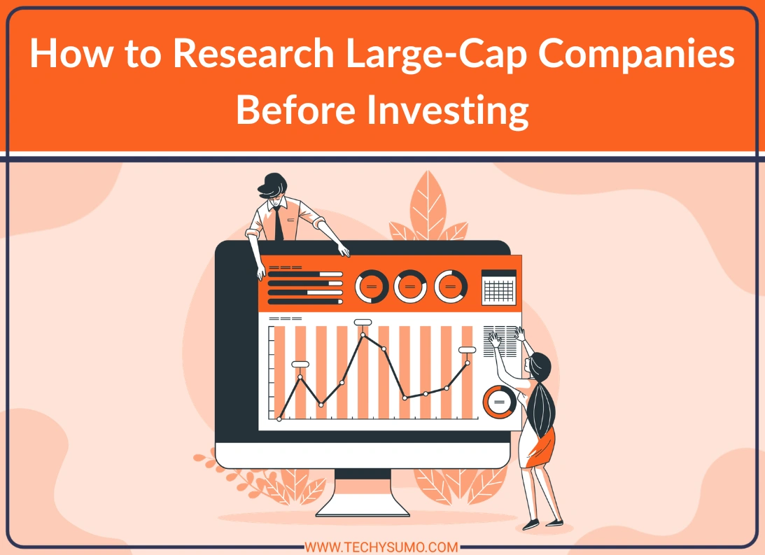 Research Large-Cap Companies